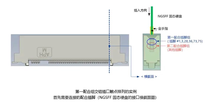 第一配合组交错插口触点排列的实例-首先需要连接的配合插脚（NGSFF固态硬盘的接口横载面图）