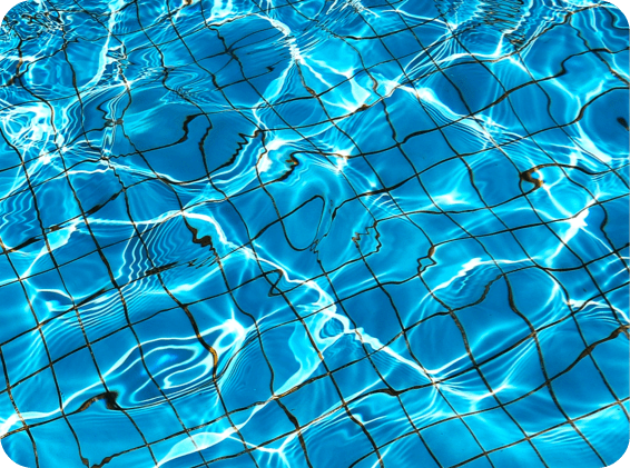 Top view of grid pattern on the bottom of a body of water. The water is so clean, it's easily visible.