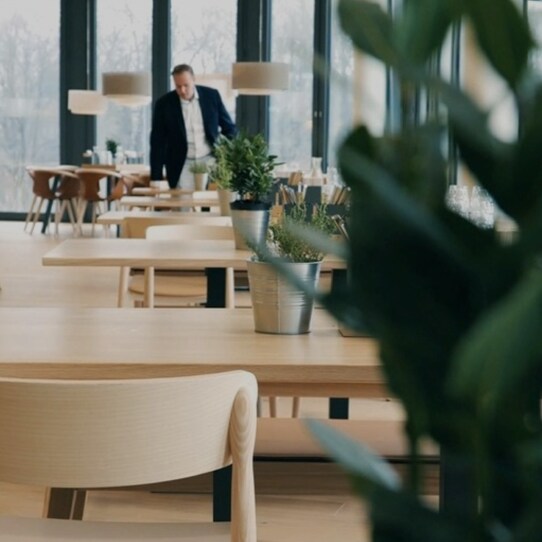 A modern, sunlit office cafeteria with minimalist wooden furniture and potted plants, as a man in a suit walks in the background.