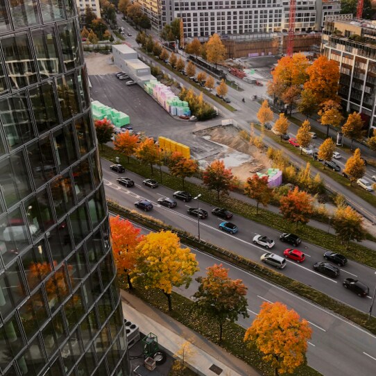 Aerial view of a modern city street lined with vibrant autumn trees and surrounded by high-rise buildings and construction zones.