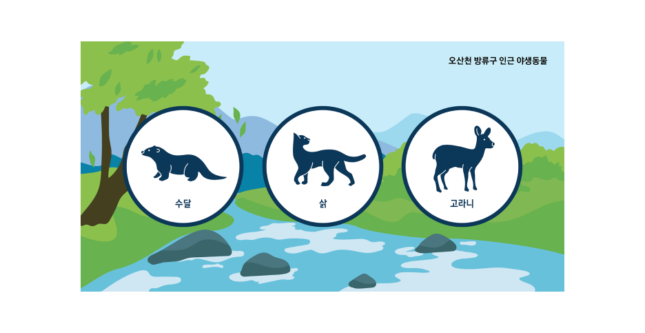 오산천 방류구 인근에 서식하는 수달, 삵, 고라니와 같은 야생동물 일러스트.