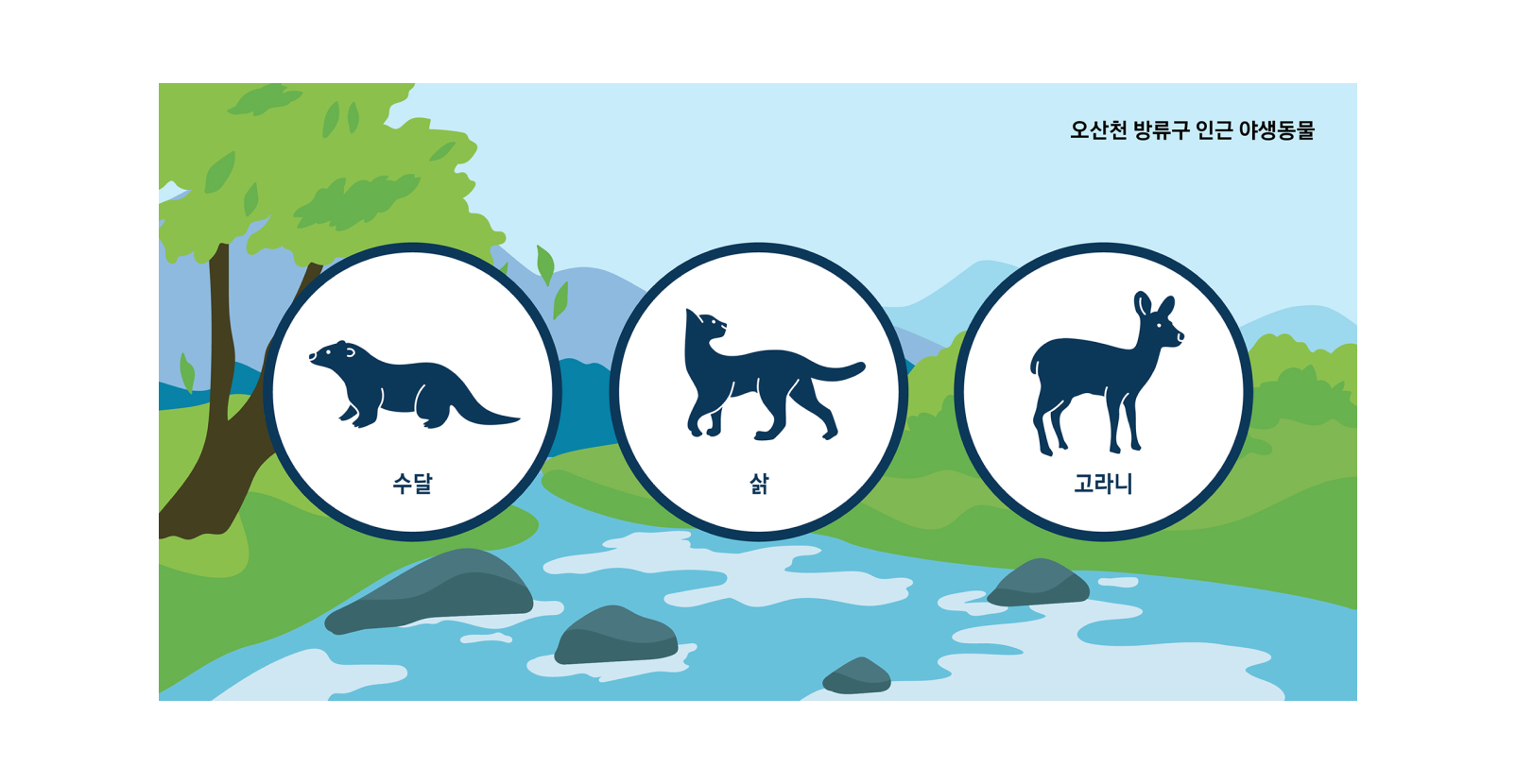 오산천 방류구 인근에 서식하는 수달, 삵, 고라니와 같은 야생동물 일러스트.