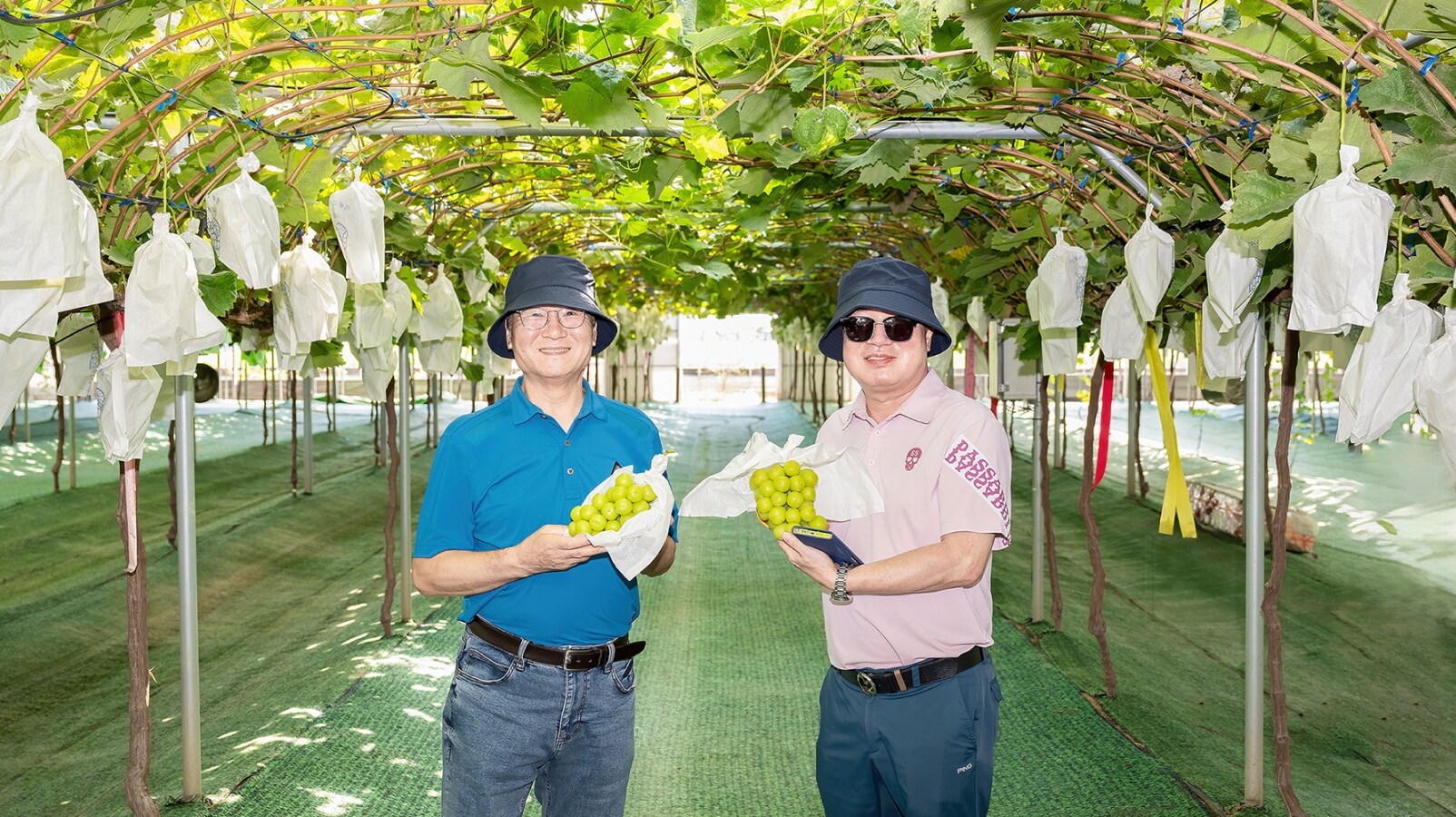 직접 수확한 포도를 들고 있는 화성 소통협의회 위원들