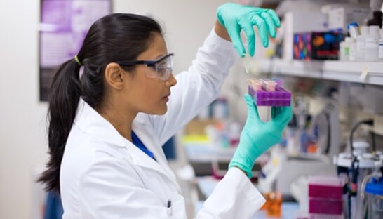 A female scientist in a lab coat and gloves handling test tubes in a laboratory, examining samples held in a purple test tube rack.