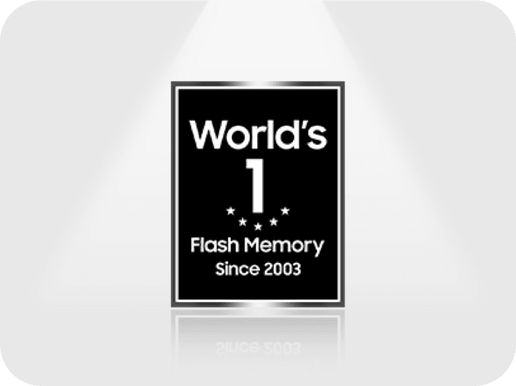 An emblem with the phrase “World’s No. 1 Flash Memory Since 2003” written in white on a black square background.