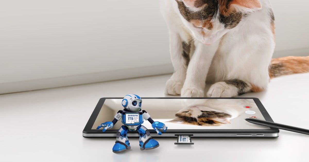 ogimage-micro-sd-evo-plus-2021