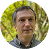 Daniel Bibireata