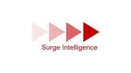 Surge Intelligence
