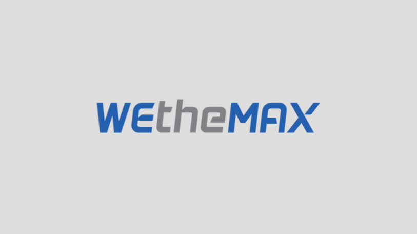 Wethemax Logo