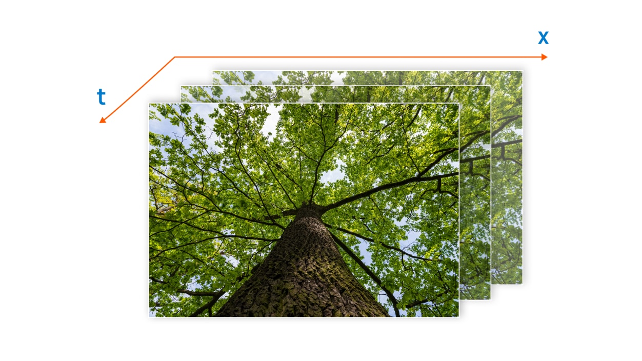 Conceptual diagram of multi-frame processing for temporal context and motion estimation across adjacent frames