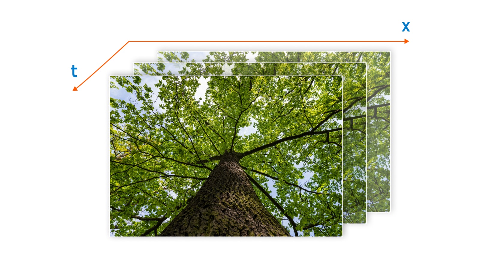 Conceptual diagram of multi-frame processing for temporal context and motion estimation across adjacent frames
