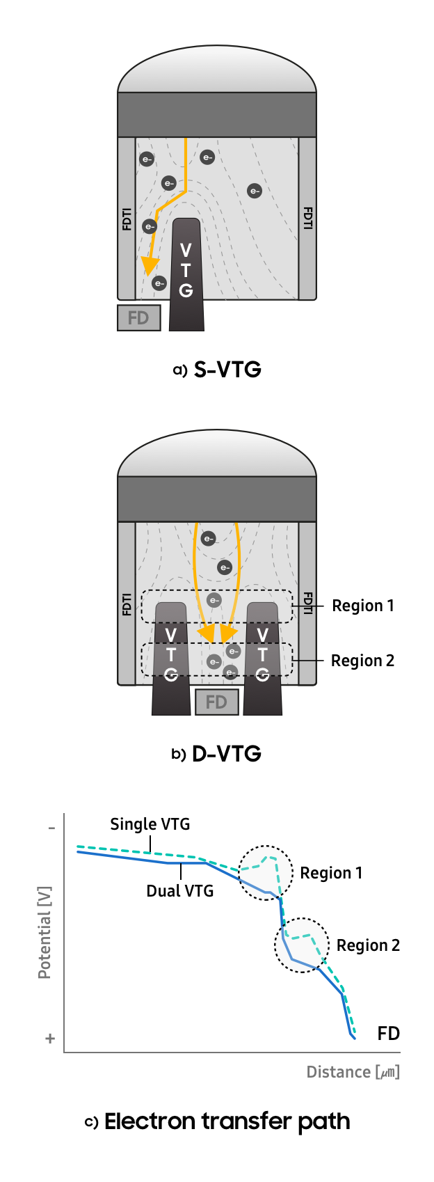 图1. S-VTG（a）和D-VTG（b）的电位曲线. 电子转移路径（c）