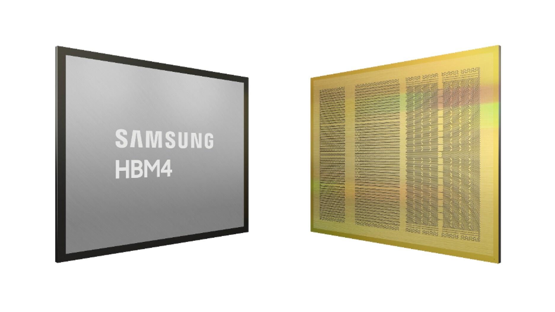 Image showing front and rear view of Samsung HBM4 36GB MTV