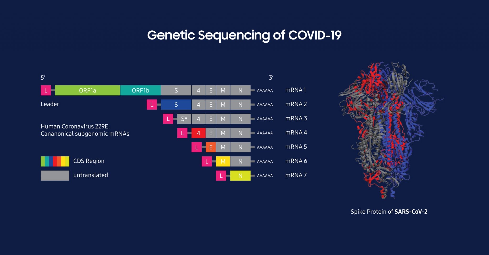 covid-19 genetic sequencing supercomputing