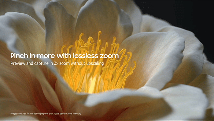 An illustrative image of a flower that was zoomed in three times.