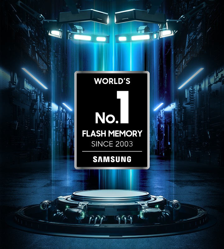 Images with the World's No.1 Flash Memory mark.