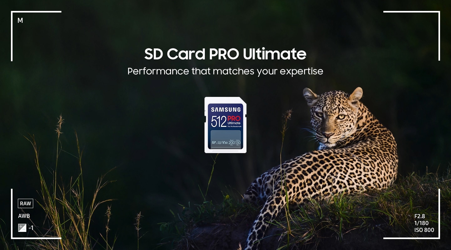 Samsung PRO Ultimate SD card delivers performance that matches the expertise of professional photographers.