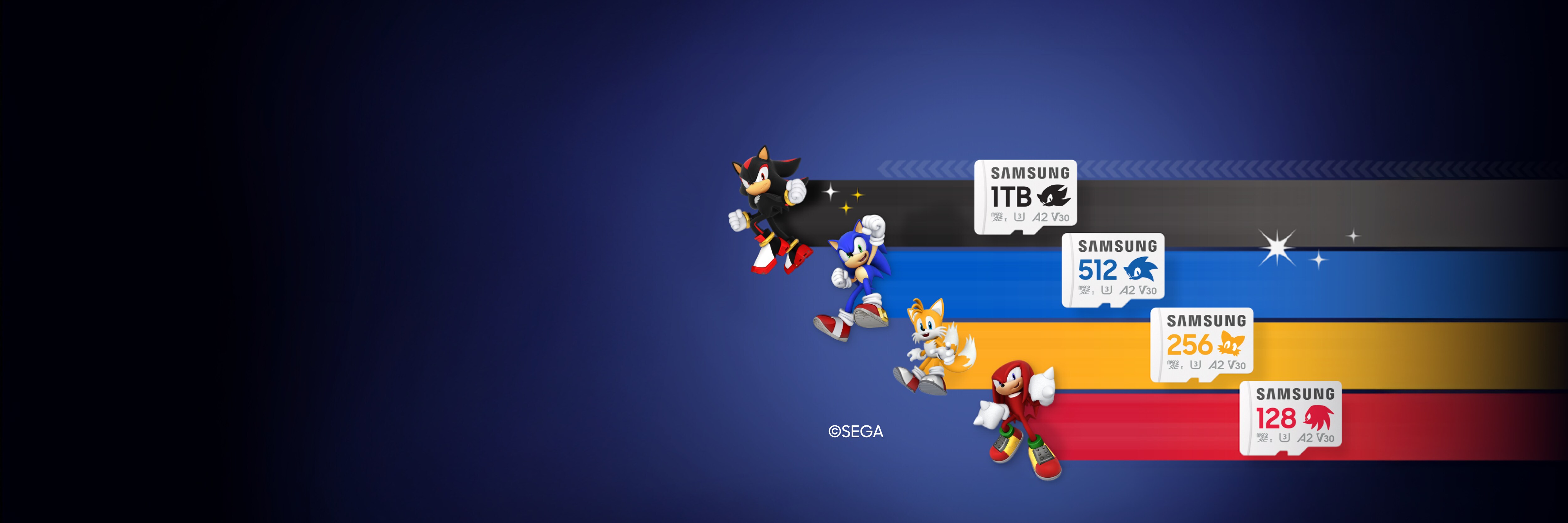 Next to the four Sonic characters are memory cards of 1TB, 512GB, 256GB, and 128GB respectively. The "SEGA" logo can be seen on one side.