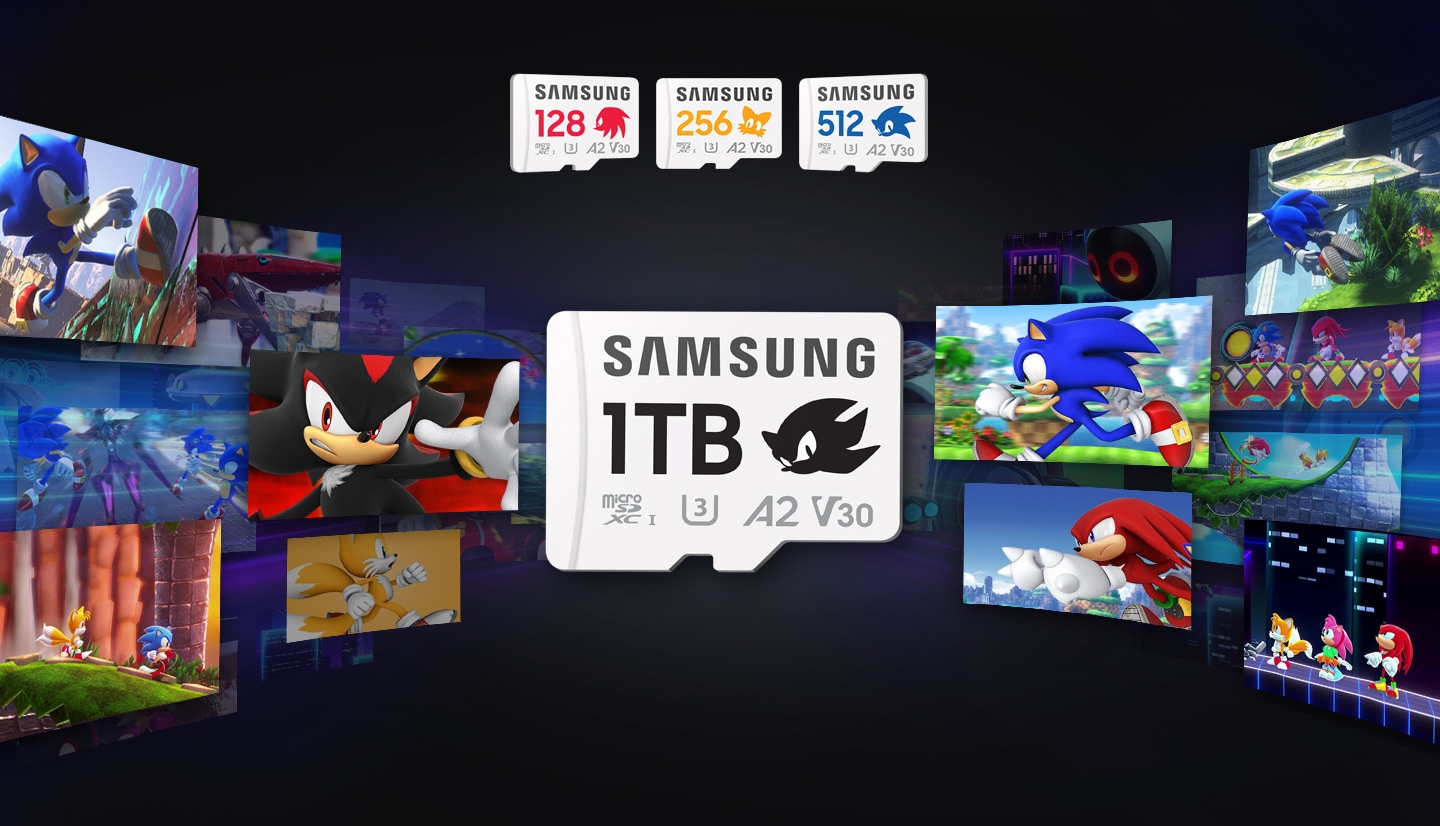 Various Sonic game play situations are shown with a 1TB memory card at the center. 128GB, 256GB, and 512GB memory cards are also shown around it.