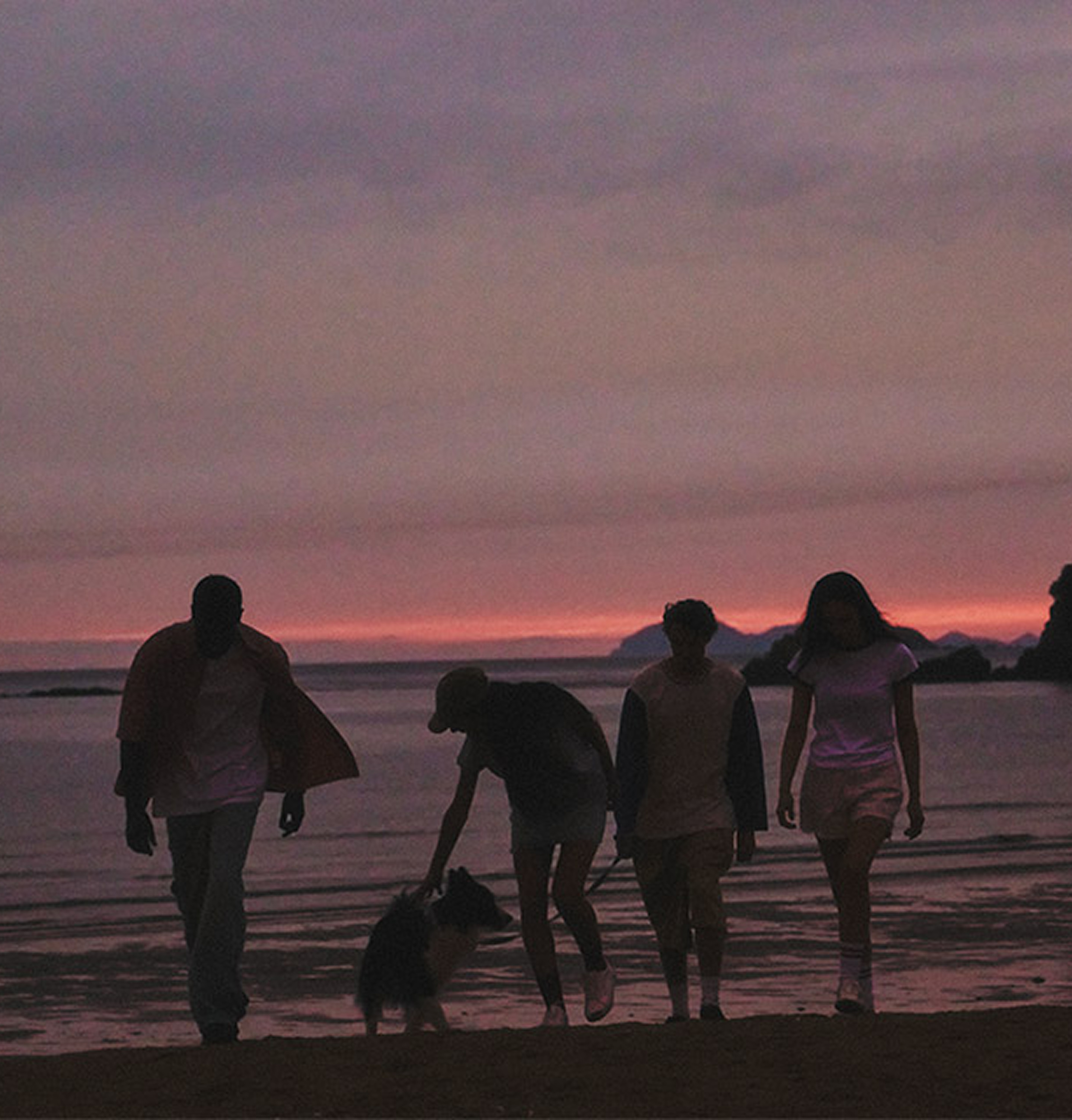 Four people walking on the beach at sunset with a dog.