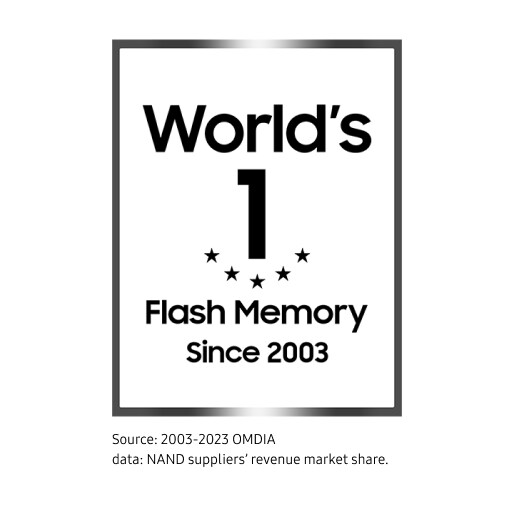 An emblem stating 'World’s No.1 Flash Memory Since 2003"