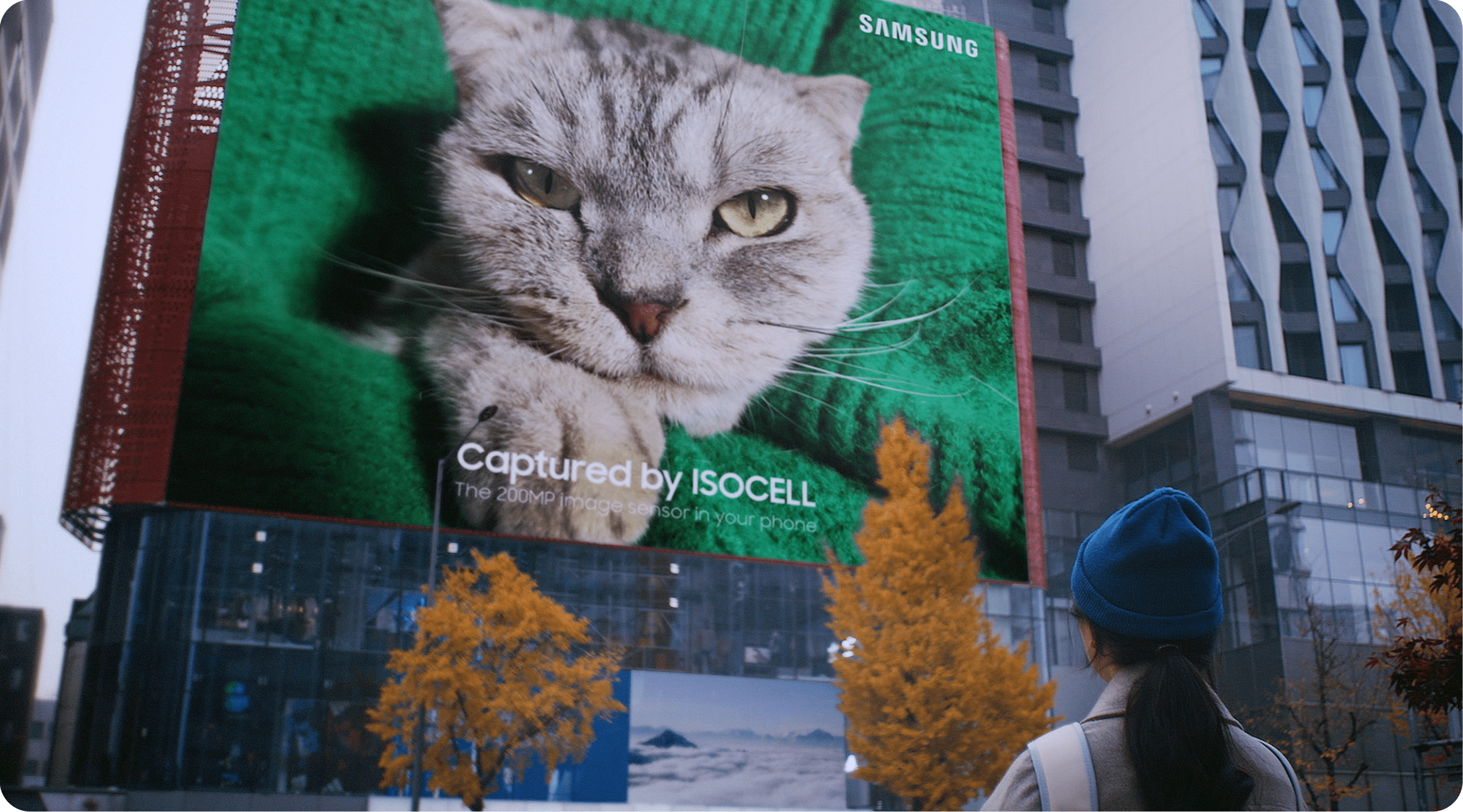A tremendous cat print made with a 200 megapixel Samsung ISOCELL image sensor posted on a building