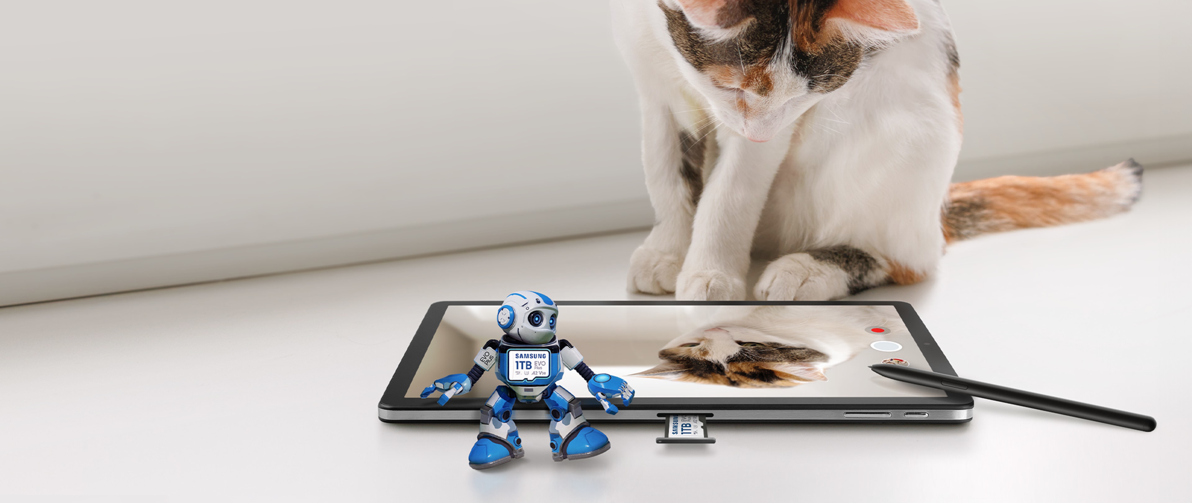 There are cats, tablets, and Samsung EVO Plus robot characters.