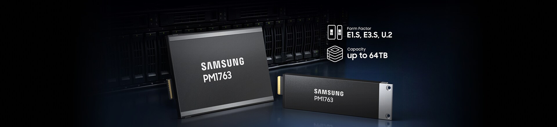 Product views of Samsung PM1763 in E1.S and E3.S form factors
