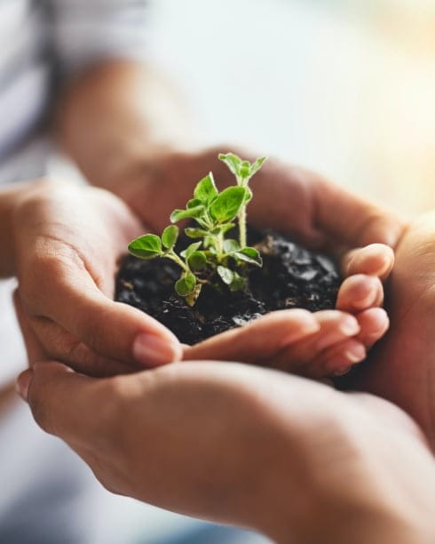Two people's hands are overlapped up and down, and the hands of the person above are filled with soil and grass.