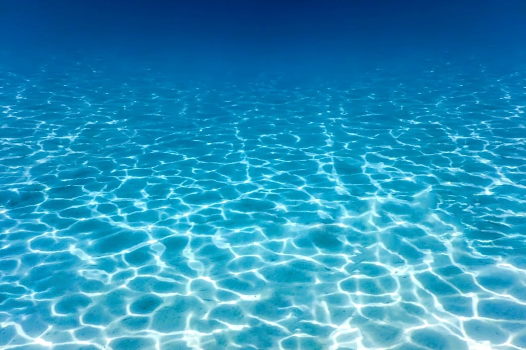 Under water in a crystal clear ocean.