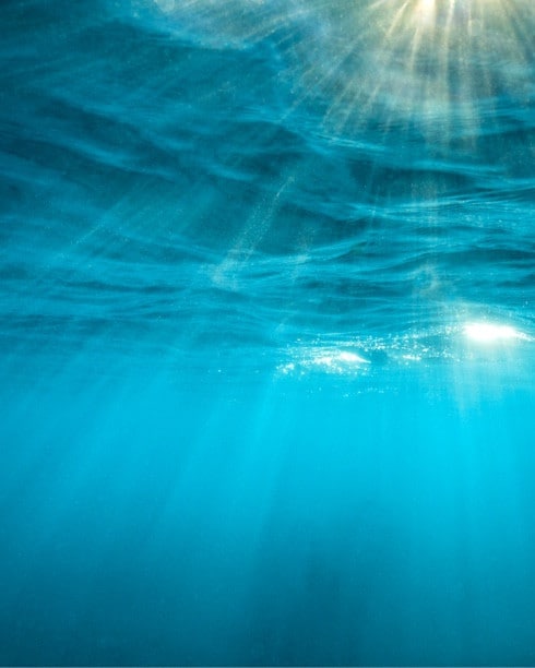 Under water with the sun's rays peaking through the surface.