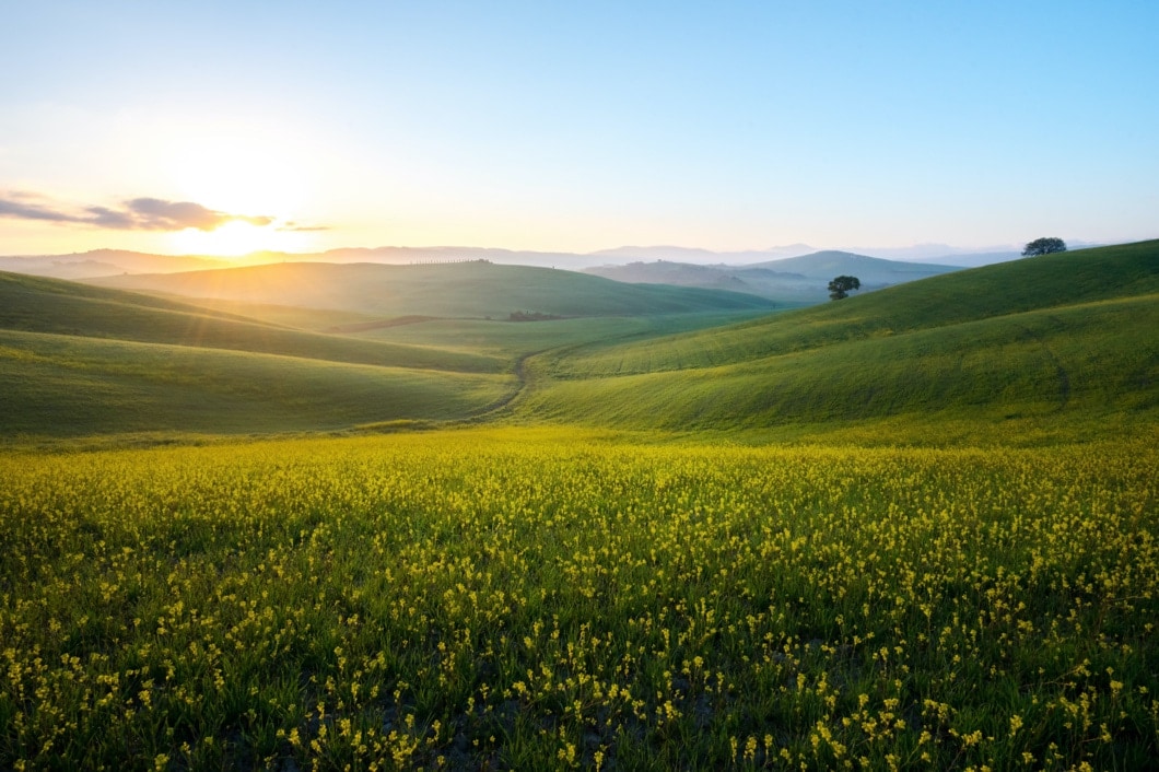 Green field seen against a blue sky with mountains in the background.