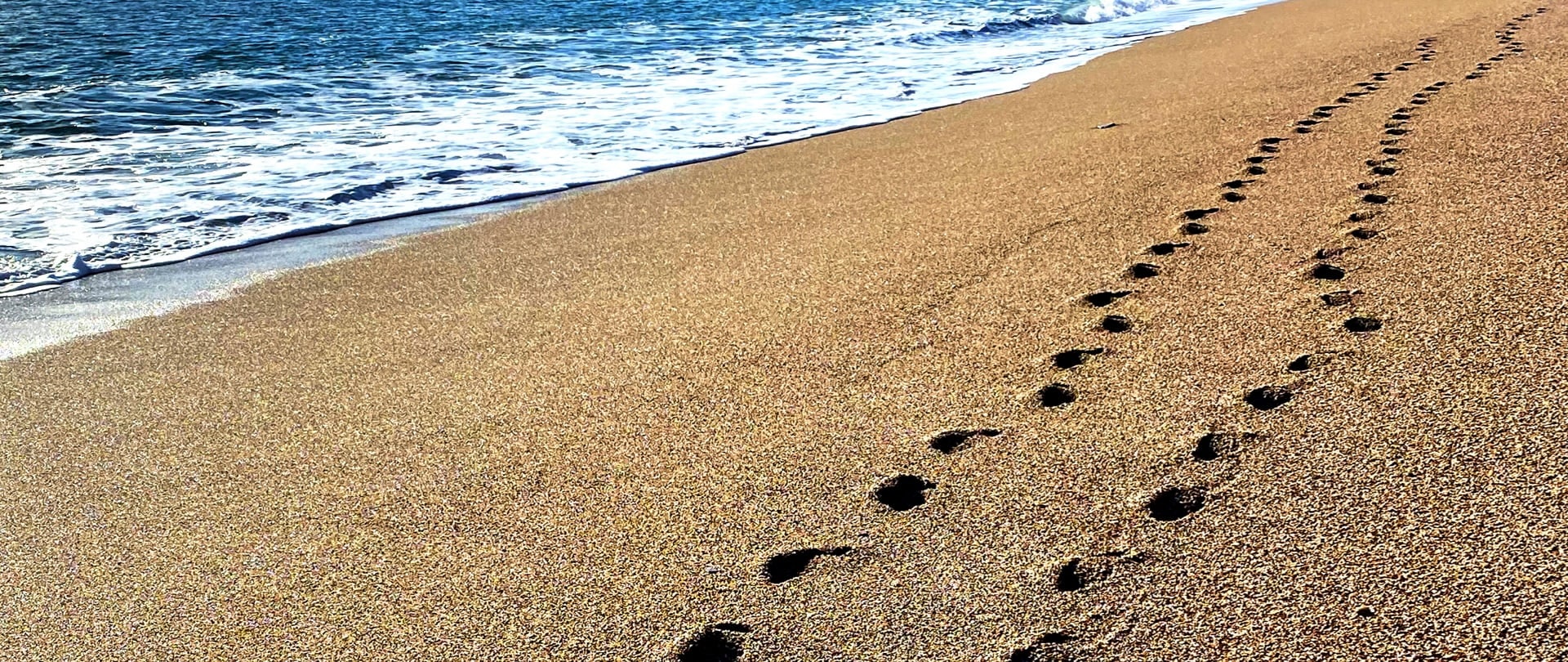 The footprints of people walking along the sea shore can be seen.