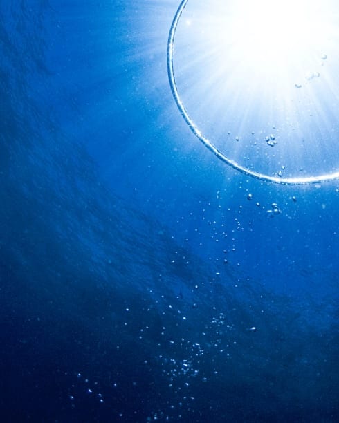 Glimpse the sun’s rays, shining through the large air bubbles in the ocean.