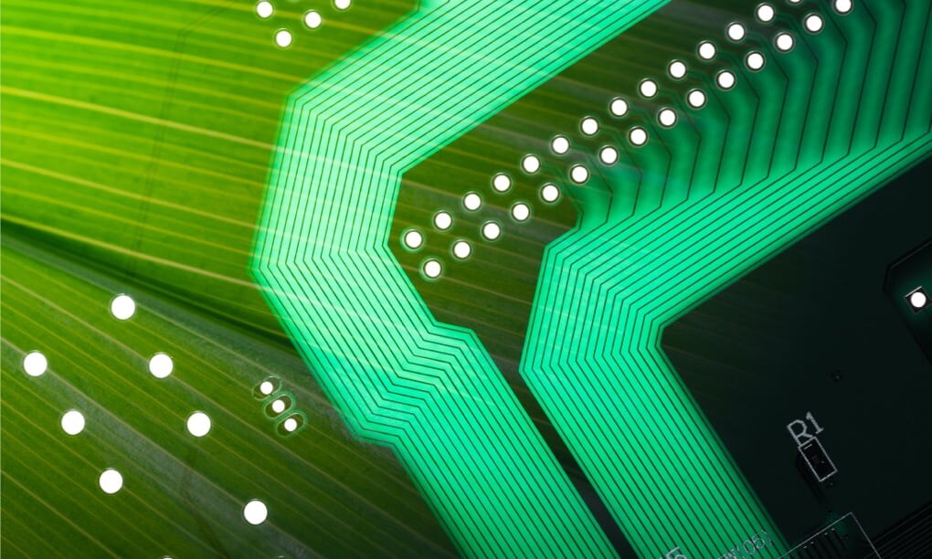 Close-up of semiconductor seen through a leaf