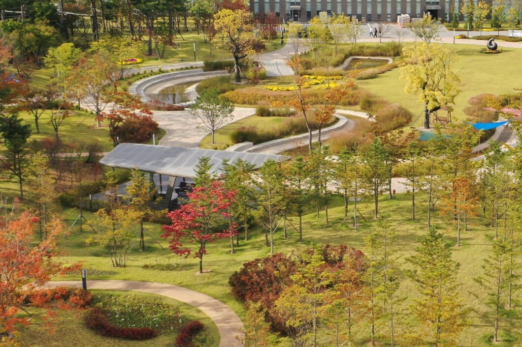 An aerial view of the forest path on the Pyeongtaek campus.