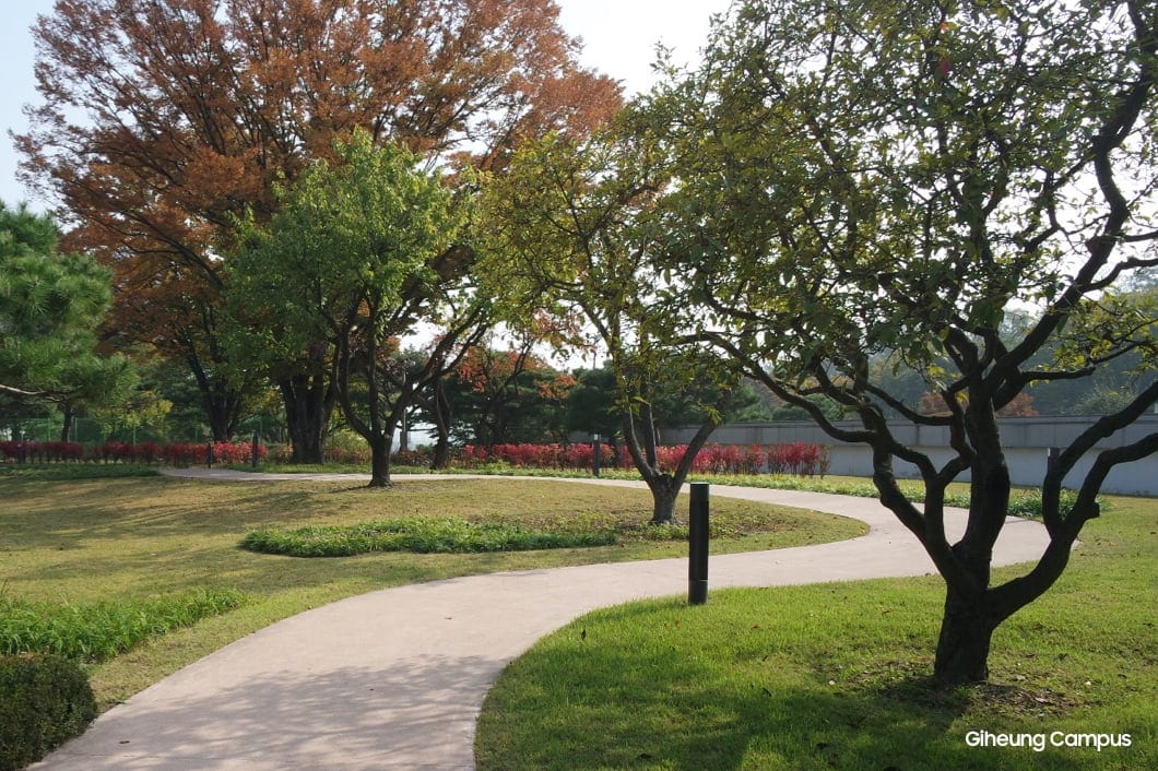 The Giheung Campus walking path with a road through the green trees.