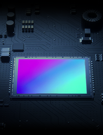 Image sensor chip mounted on a circuit board