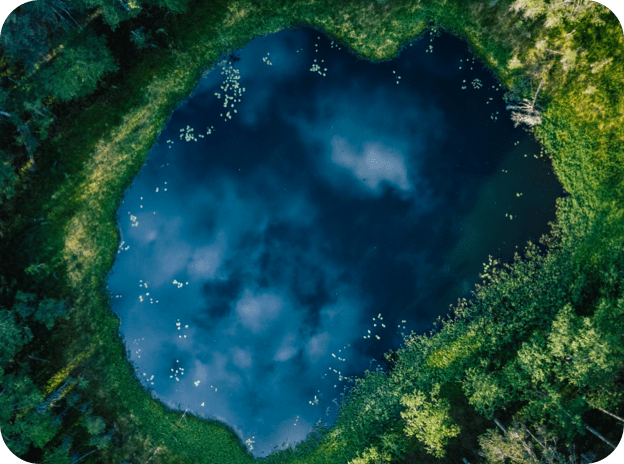 Top view of greenery surrounding a hole. The hole shows a view of the universe.